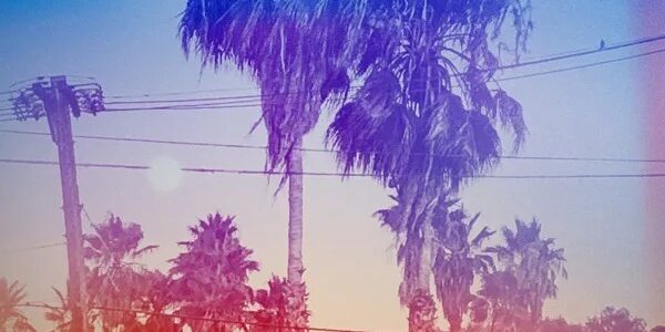 92b22f77-ac46-44ee-838a-6687a20ea37b